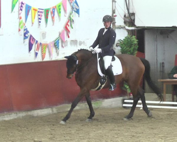 Reitturnier Neunkirchen-Furpach 2019