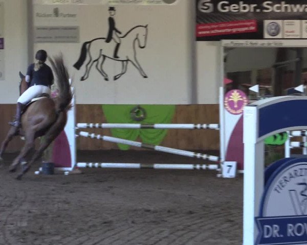 Dohrener Pferdetage 2019