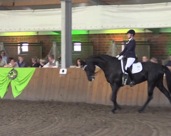 Dohrener Pferdetage 2019