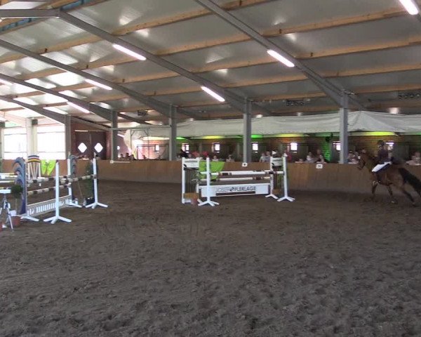 Dohrener Pferdetage 2019