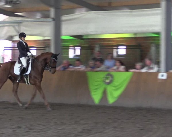 Dohrener Pferdetage 2019
