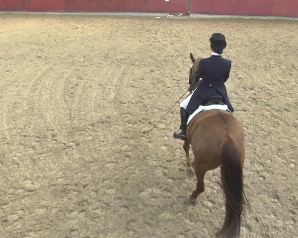 Reitturnier Neunkirchen-Furpach 2019