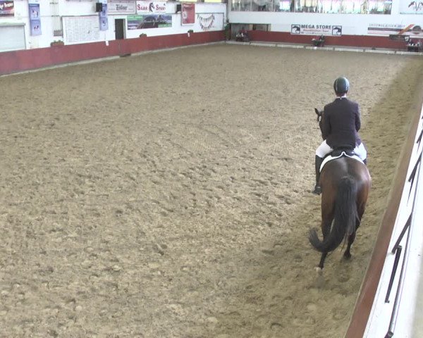Reitturnier Neunkirchen-Furpach 2019