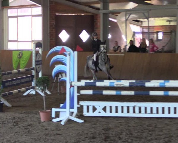 Dohrener Pferdetage 2019