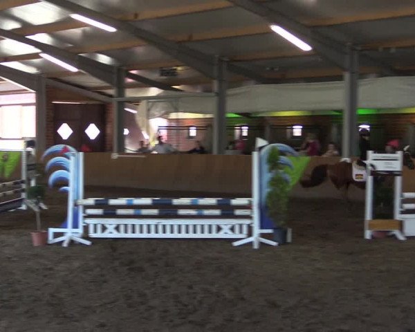Dohrener Pferdetage 2019