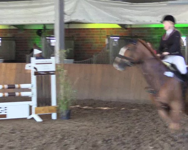 Dohrener Pferdetage 2019
