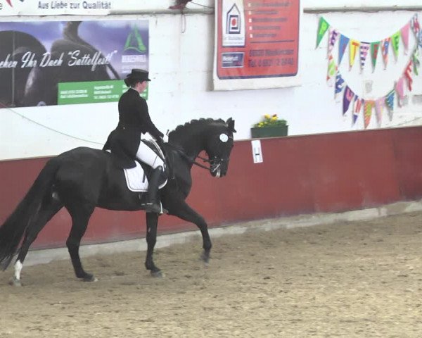 Reitturnier Neunkirchen-Furpach 2019