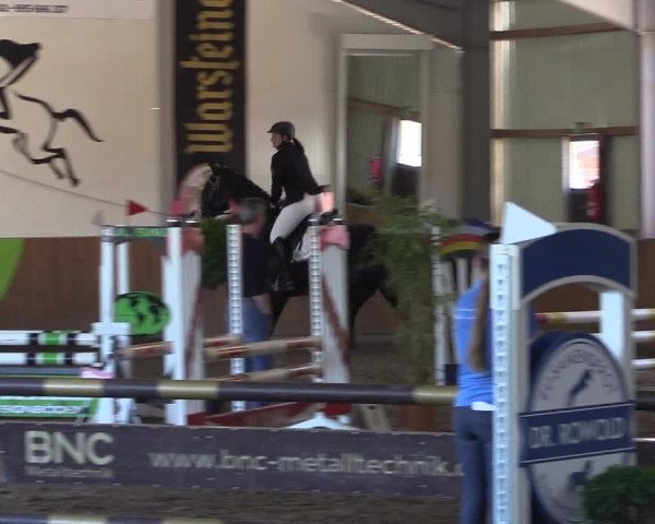 Dohrener Pferdetage 2019