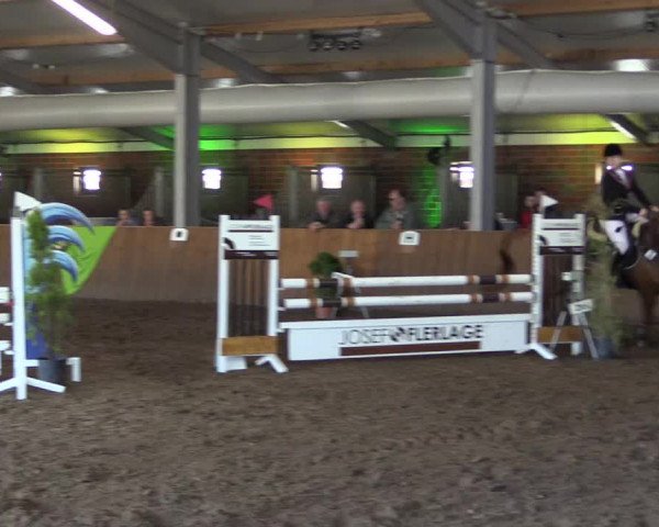 Dohrener Pferdetage 2019