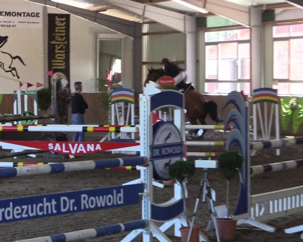 Dohrener Pferdetage 2019