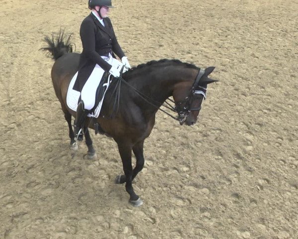 Reitturnier Neunkirchen-Furpach 2019