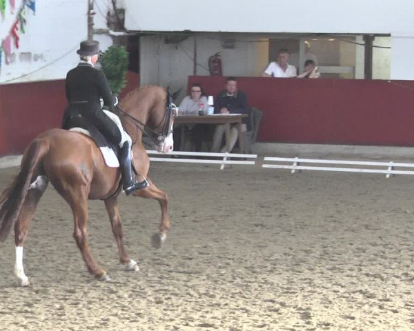 Reitturnier Neunkirchen-Furpach 2019
