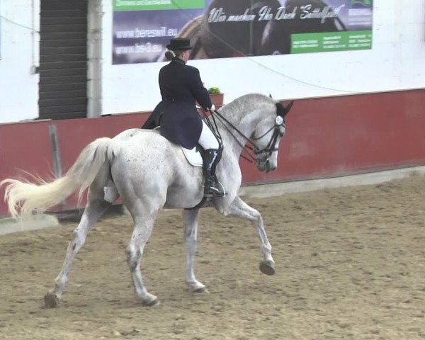 Reitturnier Neunkirchen-Furpach 2019