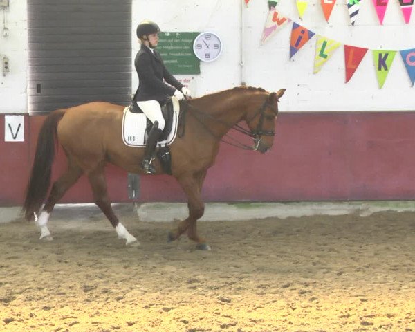 Reitturnier Neunkirchen-Furpach 2019