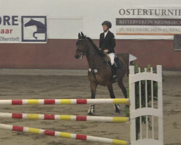 Reitturnier Neunkirchen-Furpach 2019