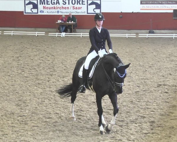 Reitturnier Neunkirchen-Furpach 2019
