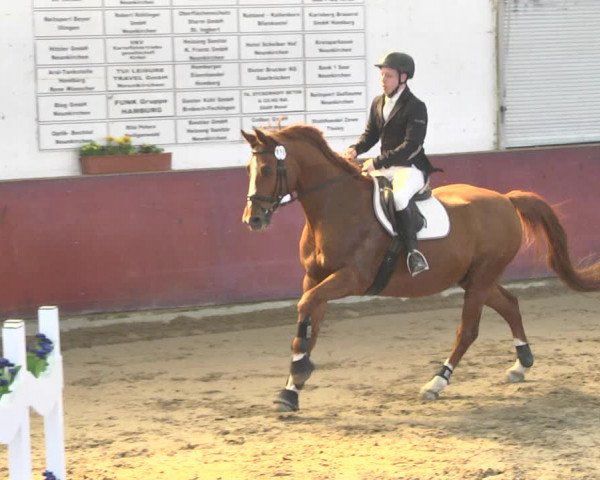 Reitturnier Neunkirchen-Furpach 2019