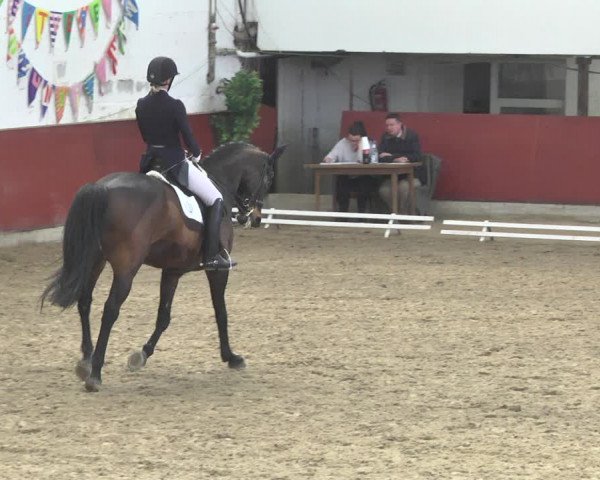 Reitturnier Neunkirchen-Furpach 2019