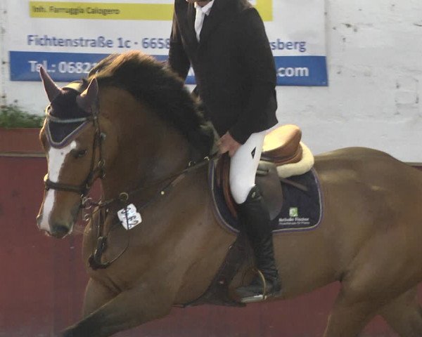 Reitturnier Neunkirchen-Furpach 2019