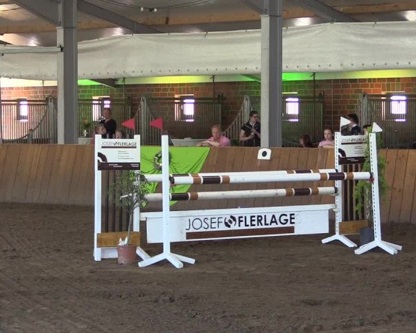 Dohrener Pferdetage 2019