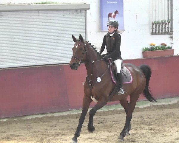 Reitturnier Neunkirchen-Furpach 2019