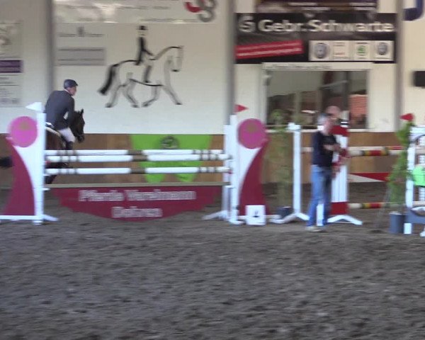 Dohrener Pferdetage 2019