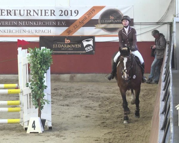Reitturnier Neunkirchen-Furpach 2019