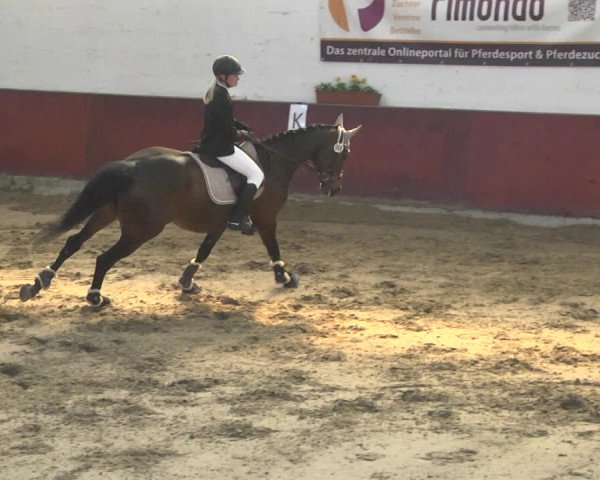 Reitturnier Neunkirchen-Furpach 2019