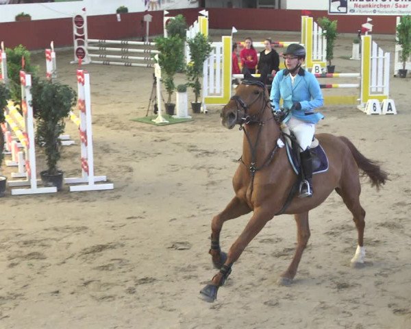 Reitturnier Neunkirchen-Furpach 2019
