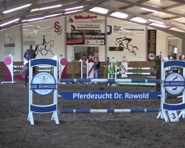 Dohrener Pferdetage 2019
