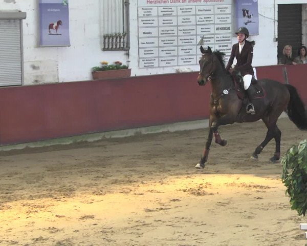 Reitturnier Neunkirchen-Furpach 2019