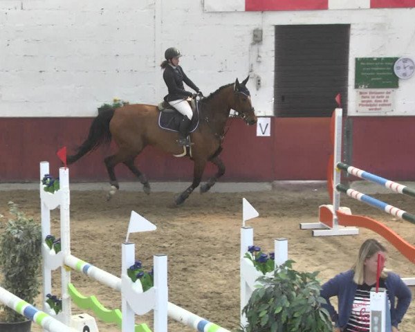 Reitturnier Neunkirchen-Furpach 2019