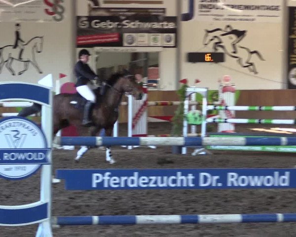 Dohrener Pferdetage 2019