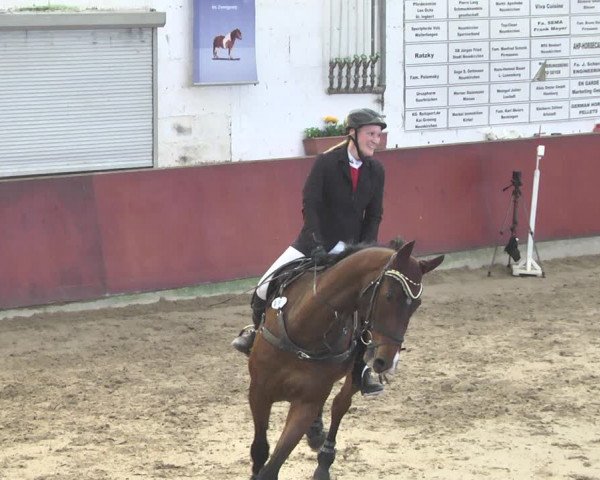 Reitturnier Neunkirchen-Furpach 2019