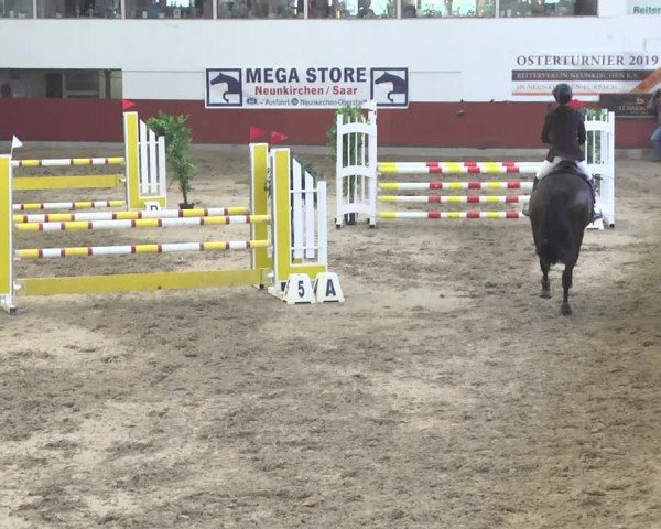 Reitturnier Neunkirchen-Furpach 2019