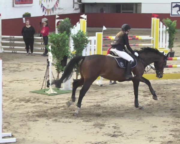 Reitturnier Neunkirchen-Furpach 2019
