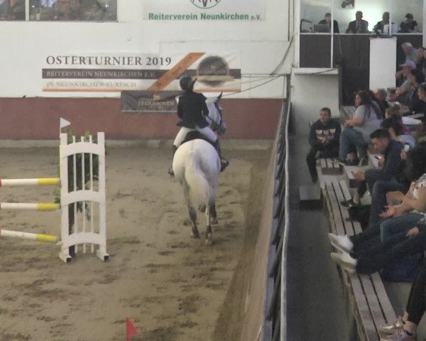 Reitturnier Neunkirchen-Furpach 2019