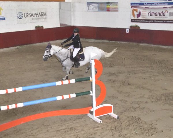 Reitturnier Neunkirchen-Furpach 2019
