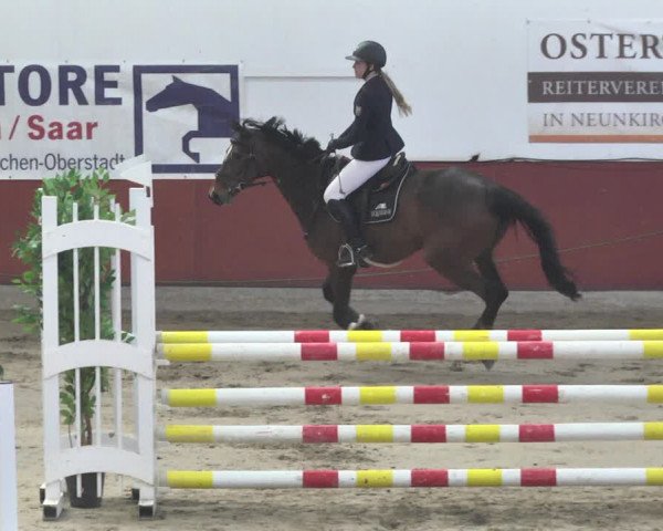 Reitturnier Neunkirchen-Furpach 2019