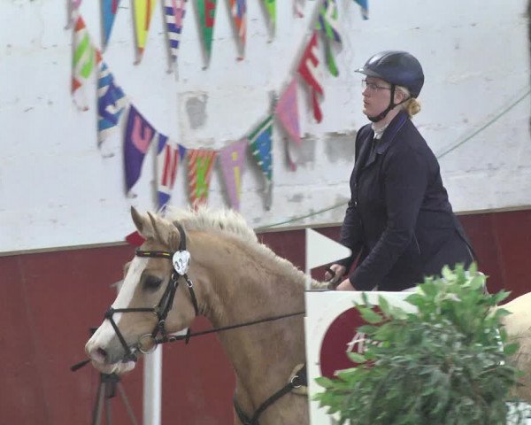 Reitturnier Neunkirchen-Furpach 2019