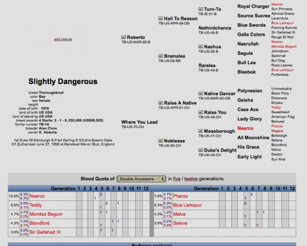 broodmare Slightly Dangerous xx (Thoroughbred, 1979, from Roberto xx)