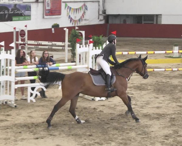 Reitturnier Neunkirchen-Furpach 2019