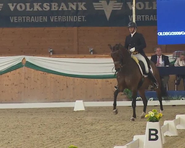 FEI Reitturnier Wiener Neustadt (AUT) 2019