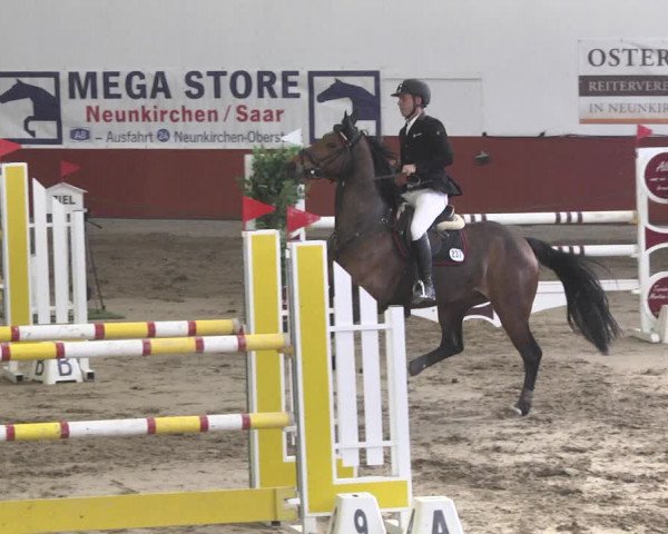 Reitturnier Neunkirchen-Furpach 2019