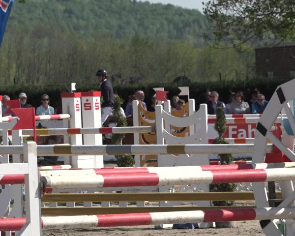 Lenklarer Reitertage 2019