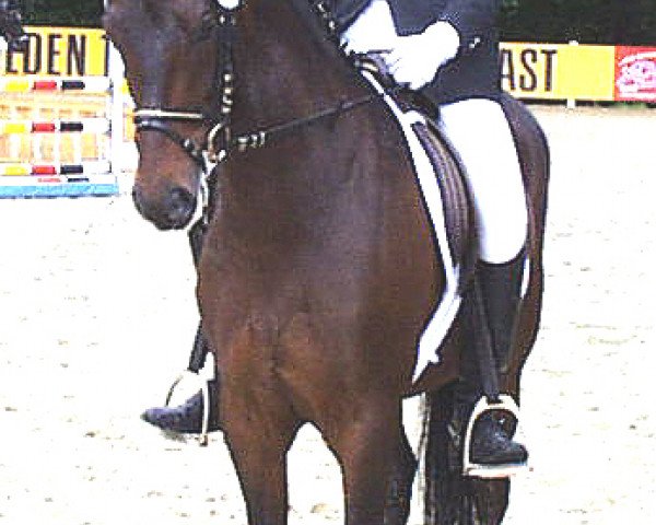 Zuchtstute Mahrdorf Mady (Deutsches Reitpony, 1998, von Dino B)