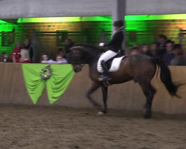 Dohrener Pferdetage 2019