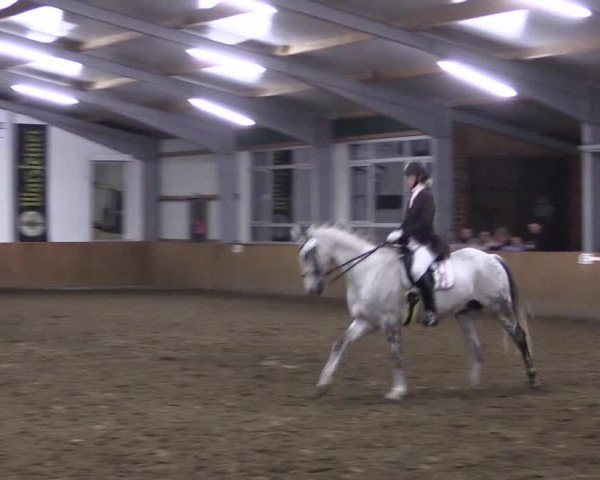 Dohrener Pferdetage 2019