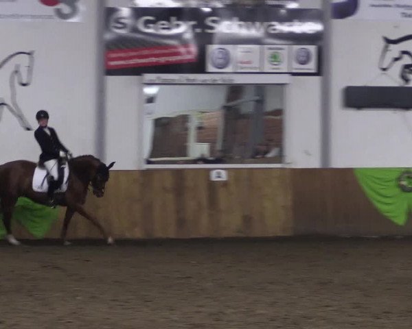 Dohrener Pferdetage 2019
