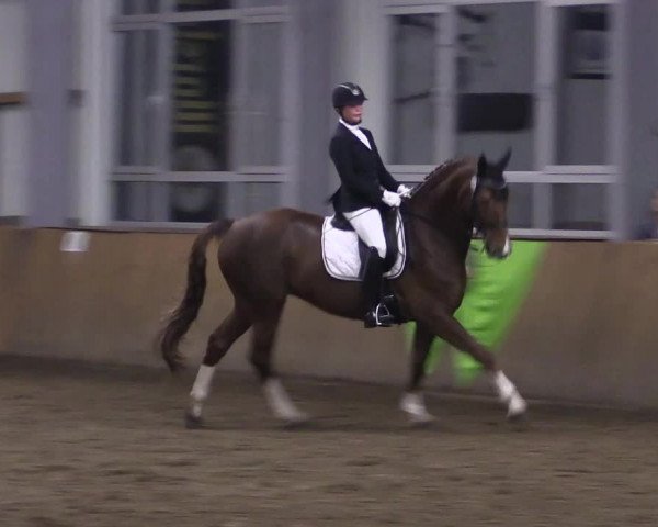 Dohrener Pferdetage 2019